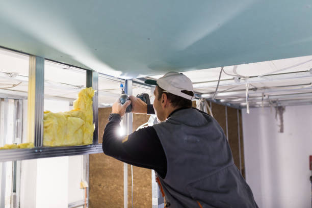 Best Fiberglass Insulation  in Martinsburg, WV