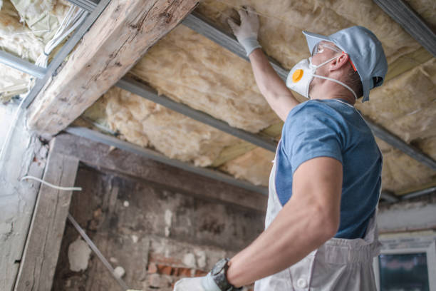 Best Commercial Insulation Contractor  in Martinsburg, WV