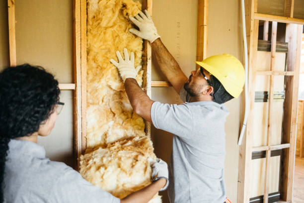 Best Garage Insulation Installation  in Martinsburg, WV