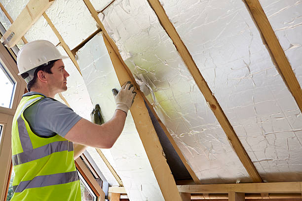 Best Best Insulation Companies  in Martinsburg, WV