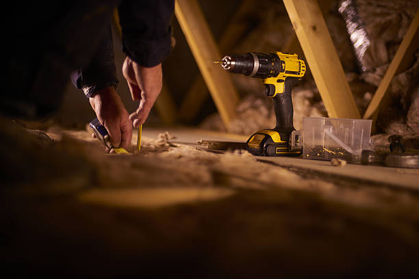 Best Insulation Removal  in Martinsburg, WV
