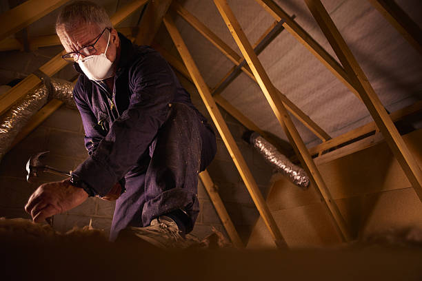 Best Professional Insulation Contractor  in Martinsburg, WV