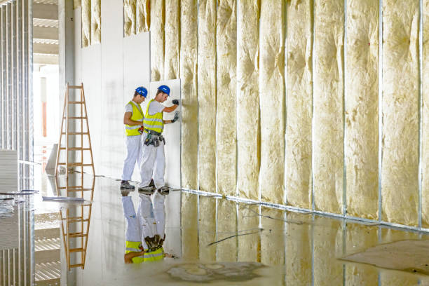 Best Insulation Contractors for Homes  in Martinsburg, WV